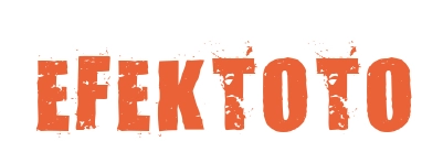 Efektoto
